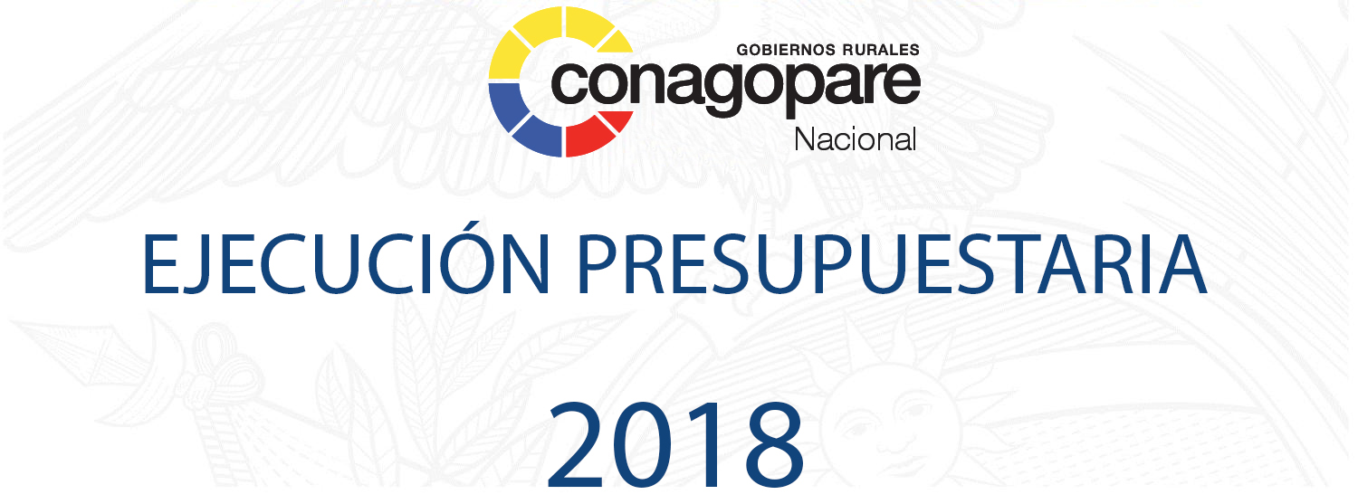 Ejecucion Pres 2018